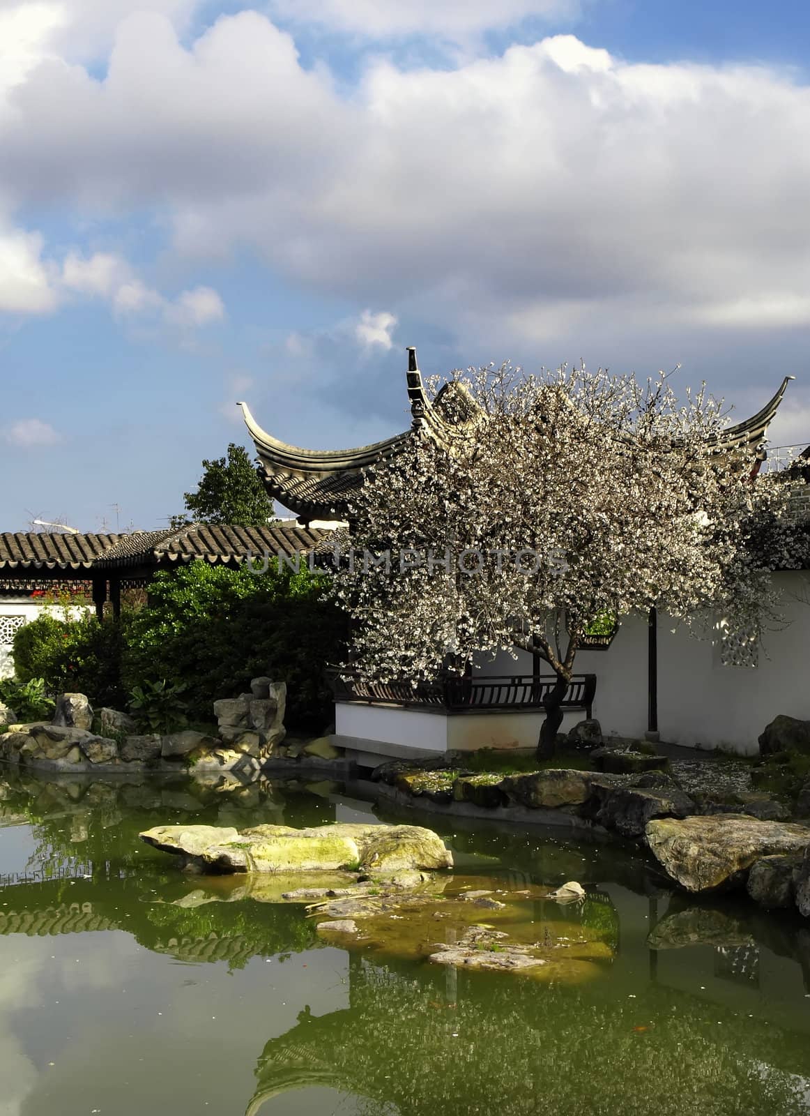 Details of an authentic Asian garden      