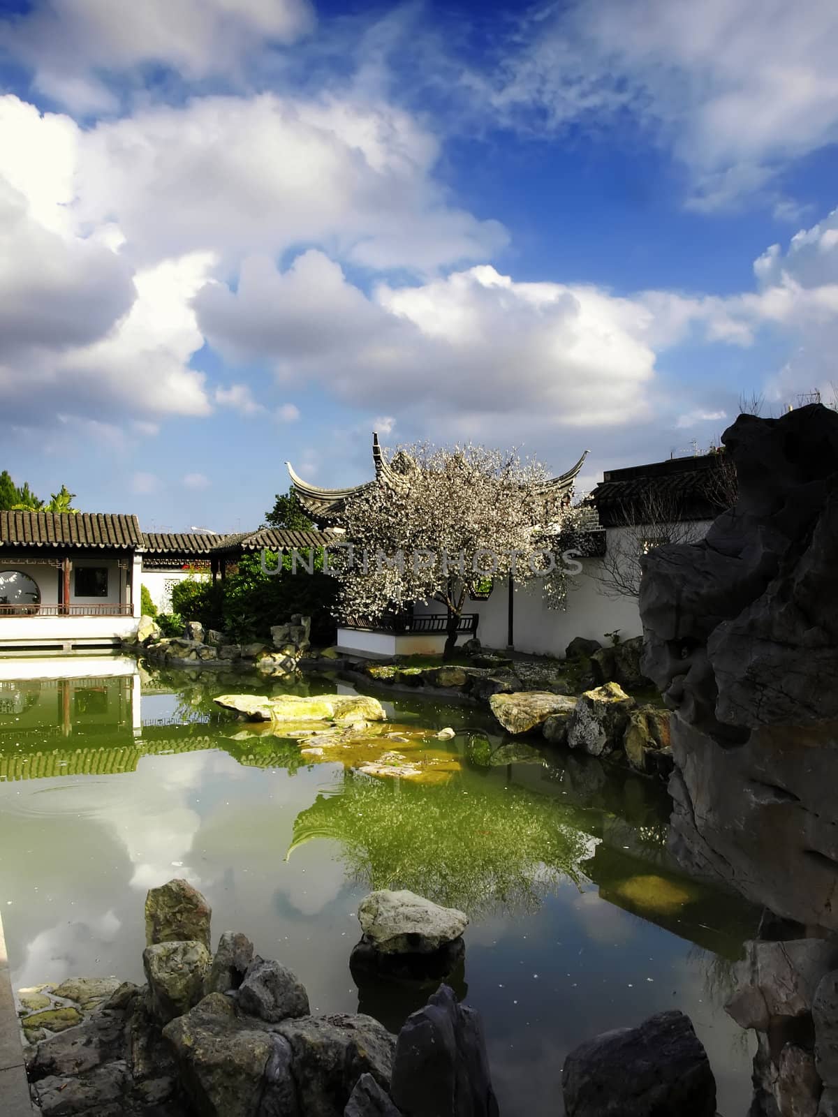 Details of an authentic Asian garden      