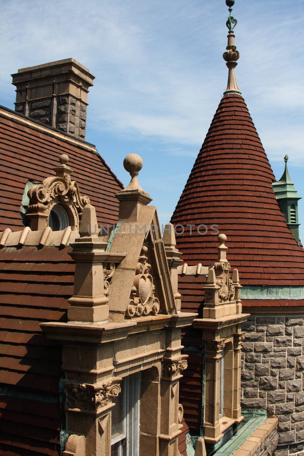 castle roof tops showing architectural details