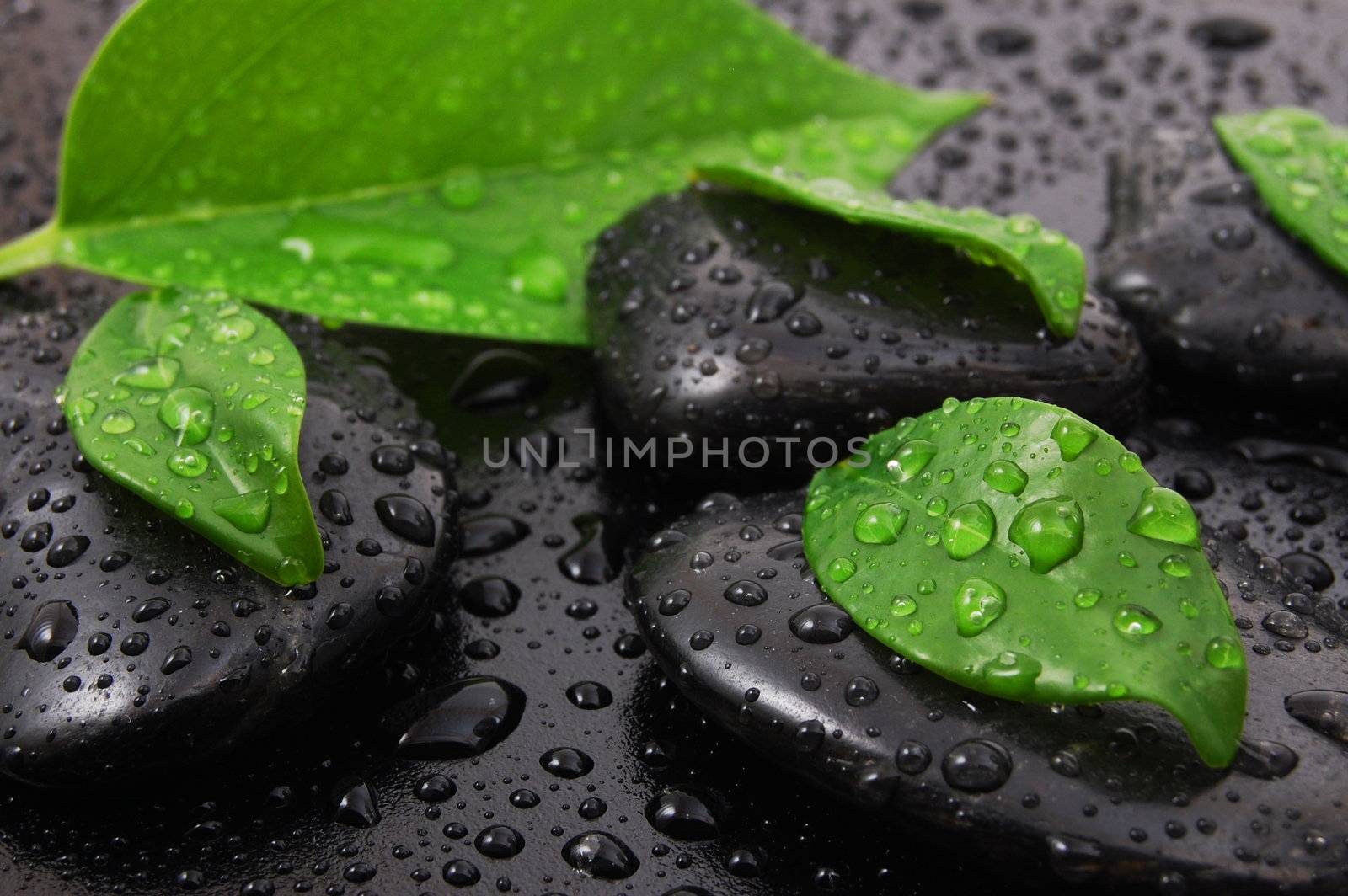 wellness massage or bath concept with zen stones leafes and water drop