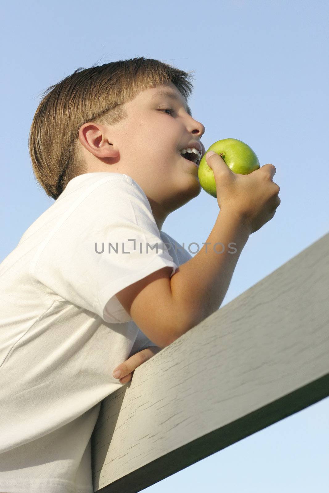 Boy on a fence eating a juicy green apple.

Health and nutrition.