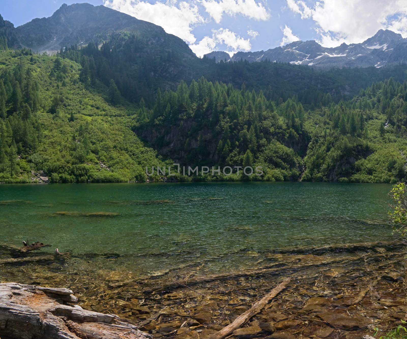 landscape of Barco lake in Trentino, Italy with the characteristic trunk under the water