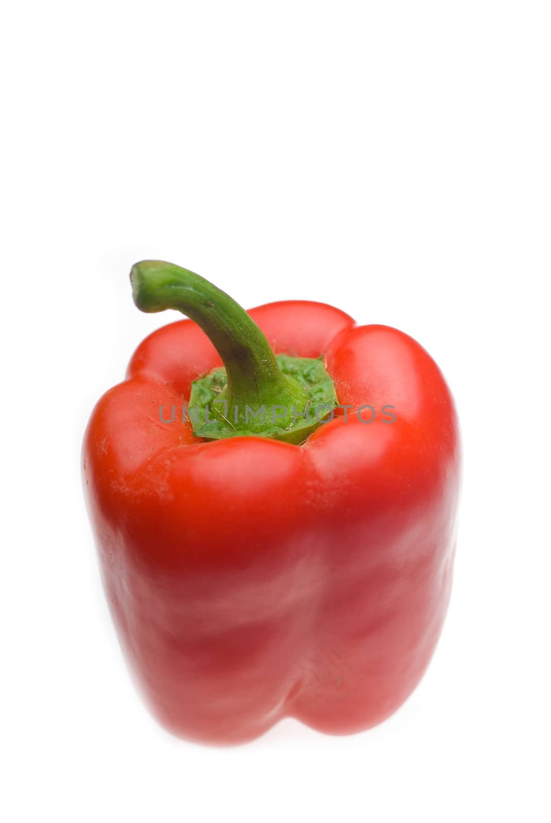 fresh red bell pepper by keko64