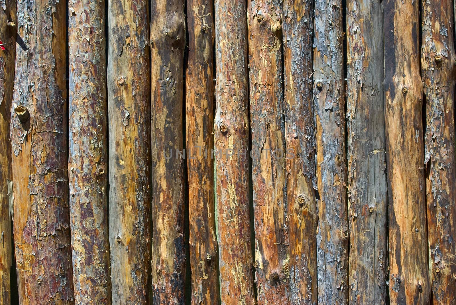The olden grunge wooden rough boards background