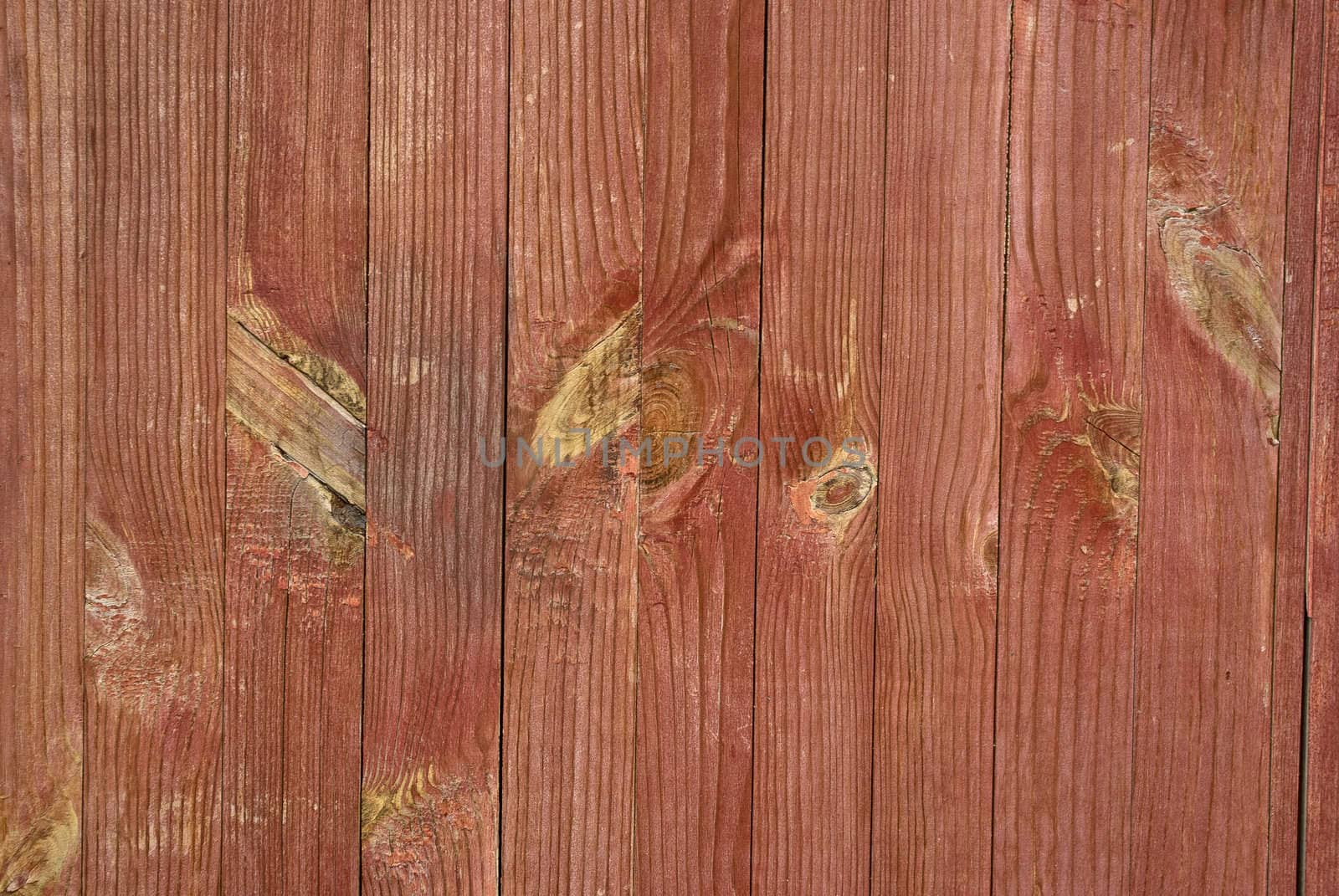 the brown wood texture with natural patterns