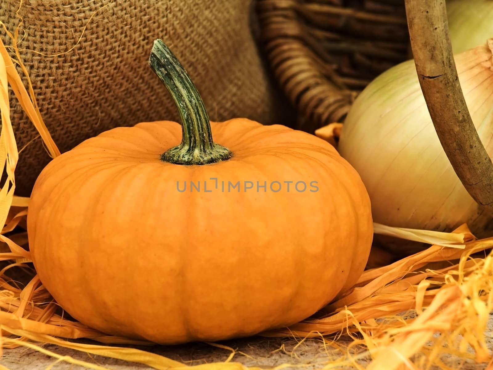 still life with pumpkin, basket, onion, linen and orange bows