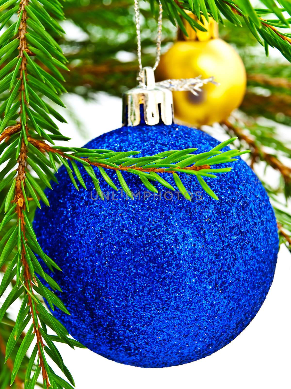 Bright New Year toy at fir tree brunch against white