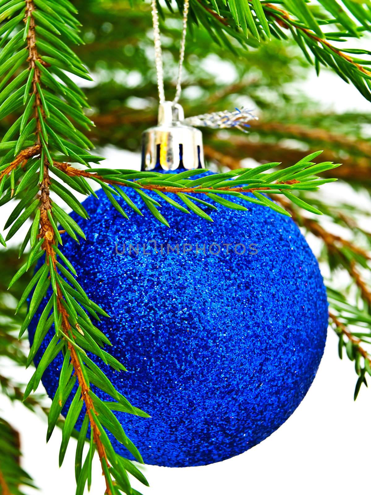  New Year blue toy at fir tree brunch against white 