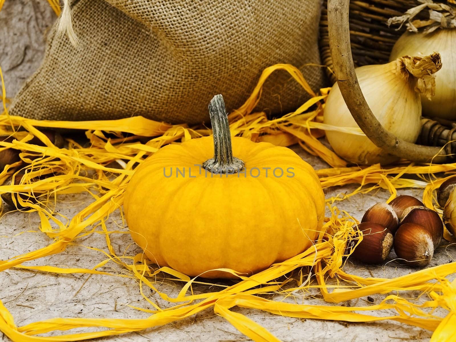 still life with pumpkin, basket, onion and nuts at beige  