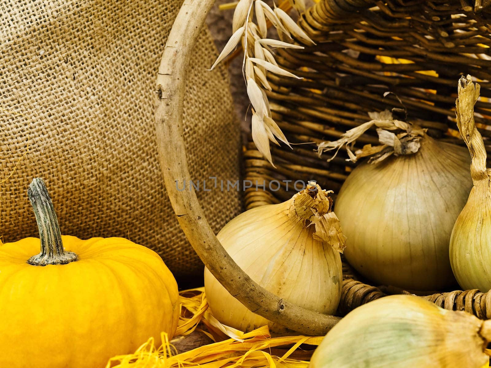 Photo of still life with pumpkin, basket, onion and nuts   
