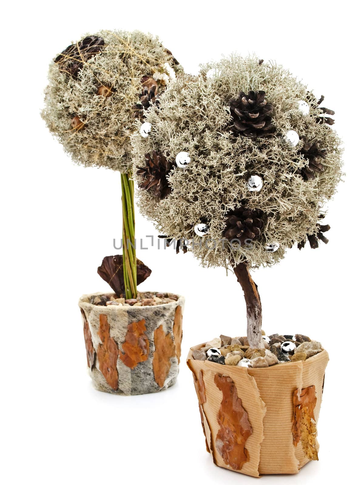 decorative handmade natural materials trees against the white background