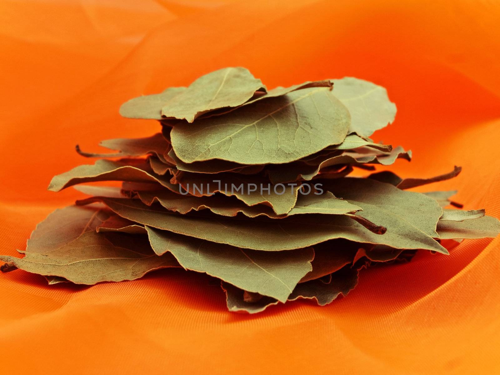 Photo of bay leaves stack at orange textile