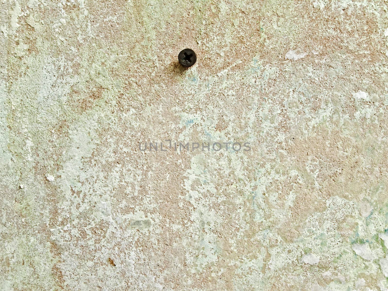 Photo of abstract grunge shabby background in green and light brown with screw 