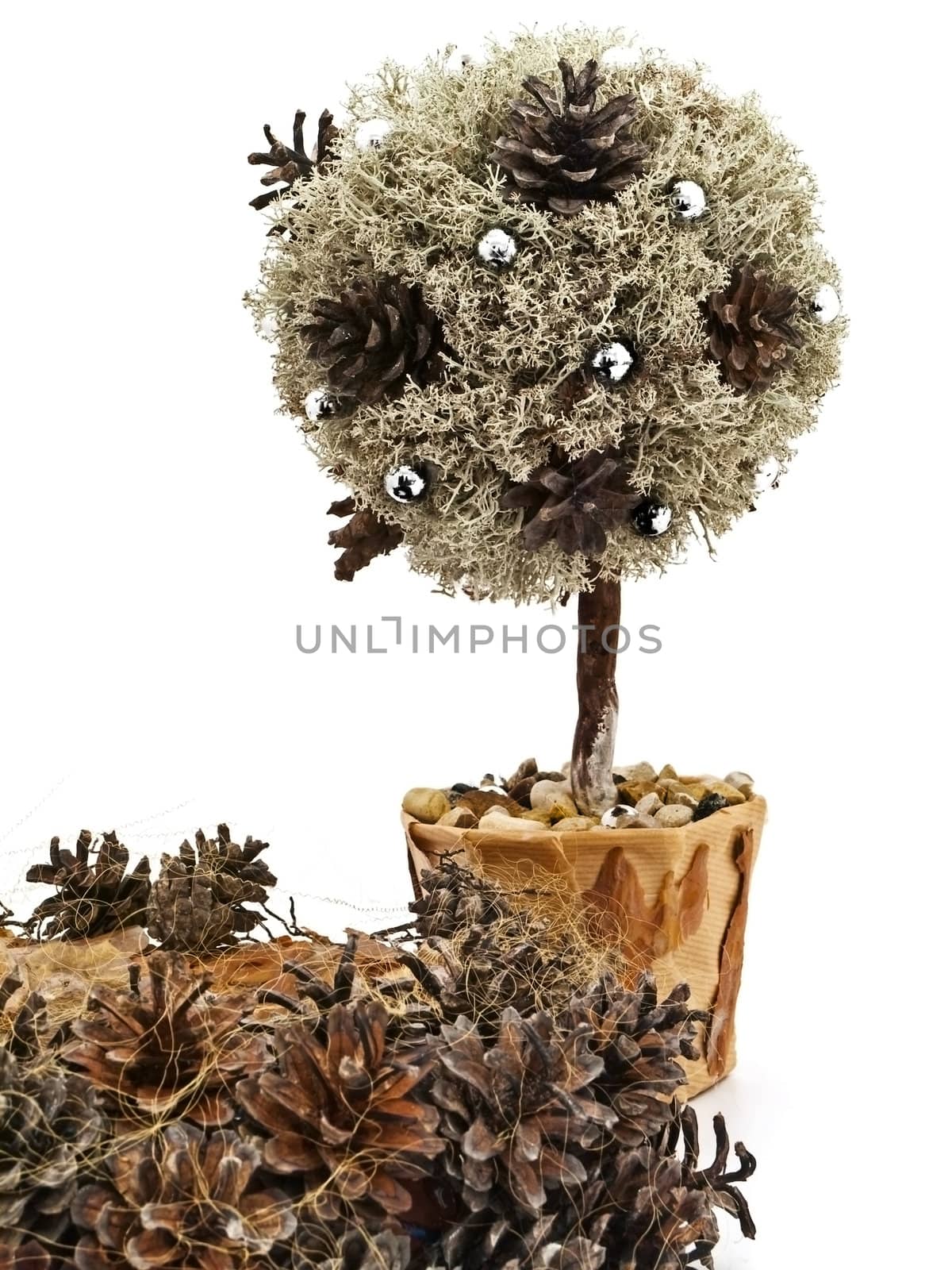 Handmade decoration tree from pine tree and cones against the white background