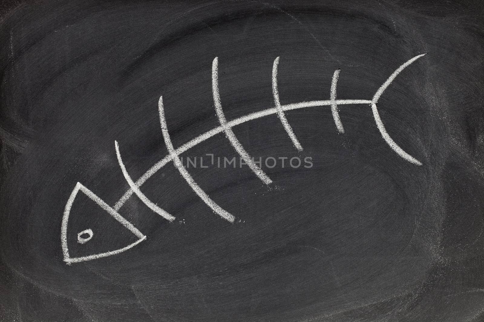 fish skeleton - white chalk drawing on blackboard with eraser smudges and texture