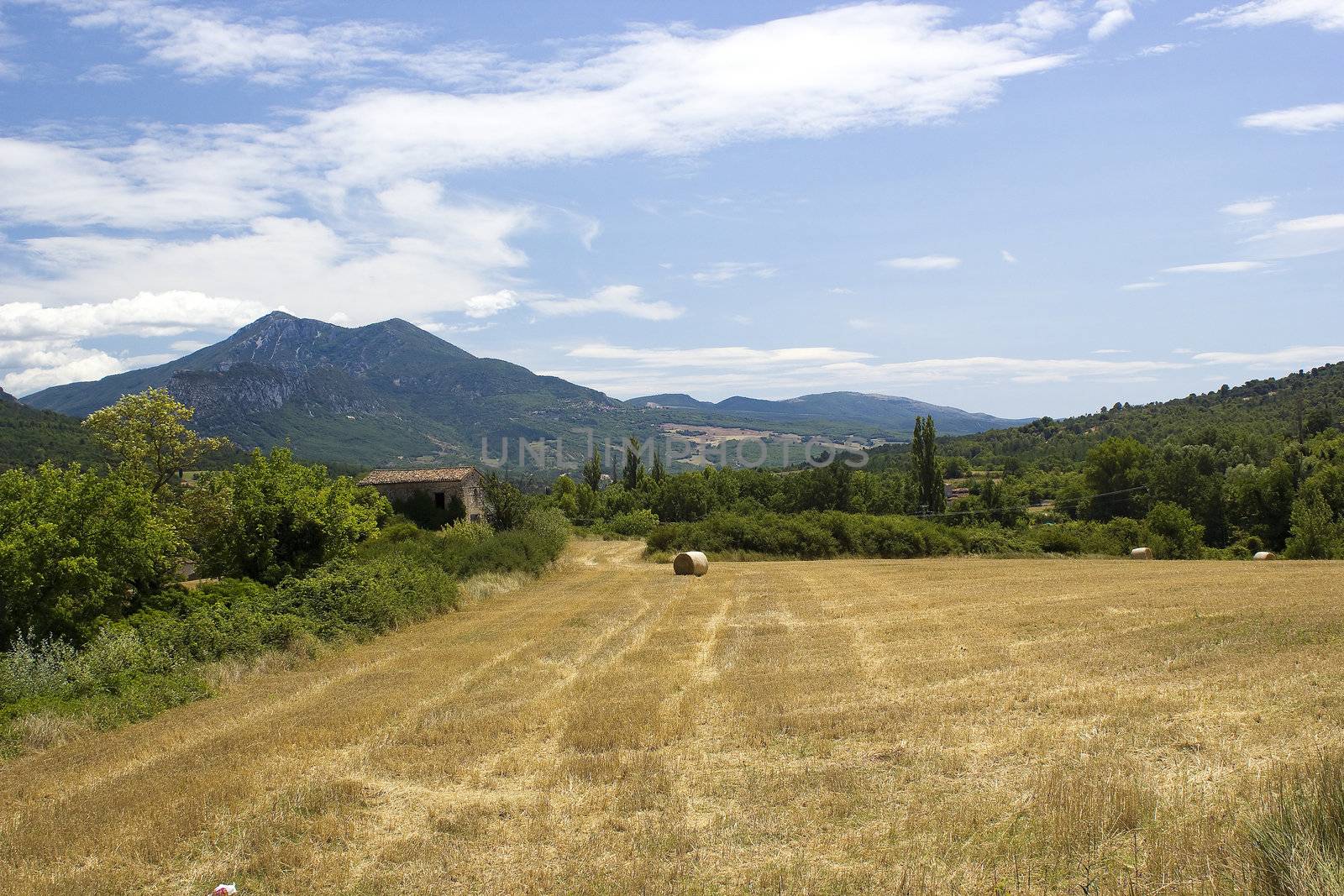 Landscape in Provence