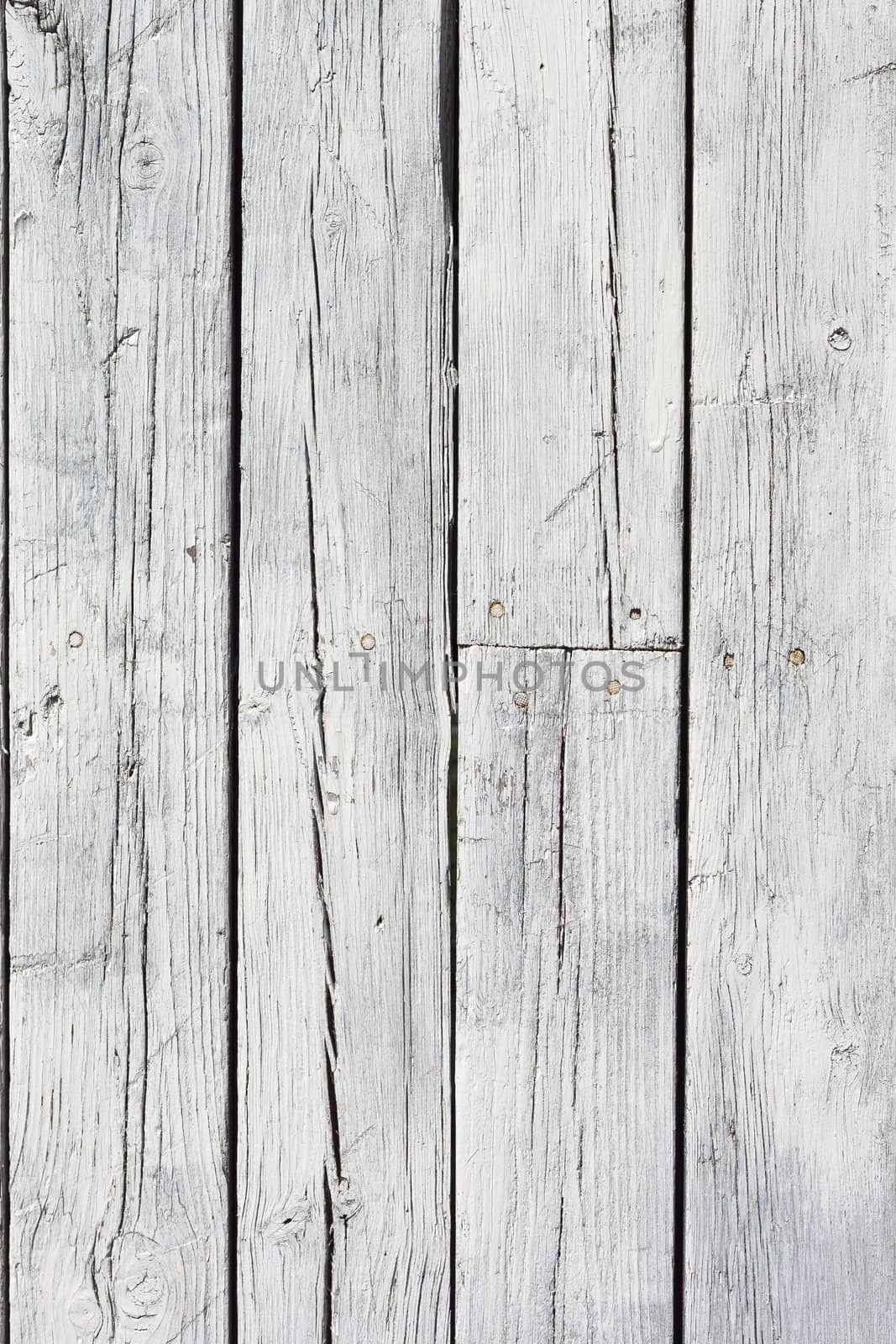 the background of weathered white painted wood