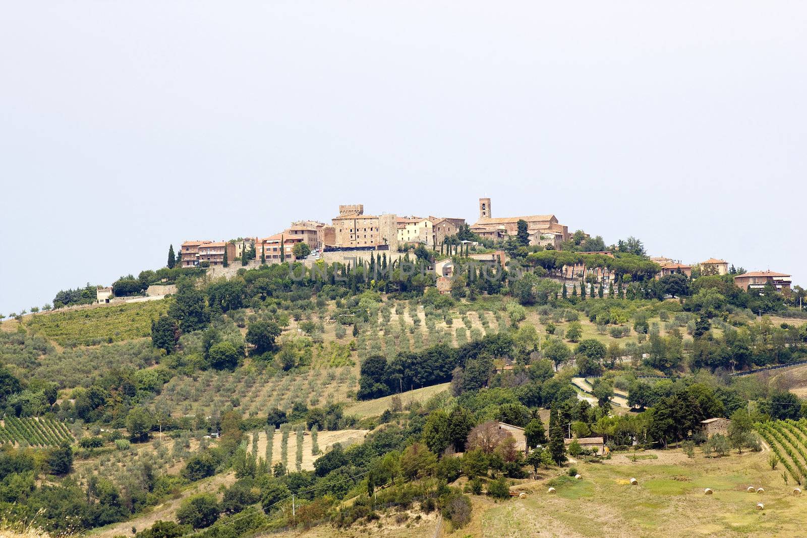 The ancient village and the vineyards 
