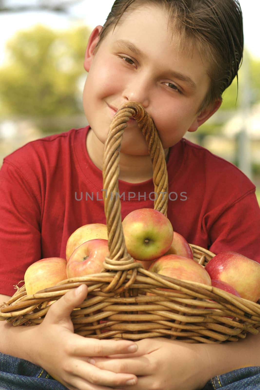 Child holding a basket of pink lady apples.