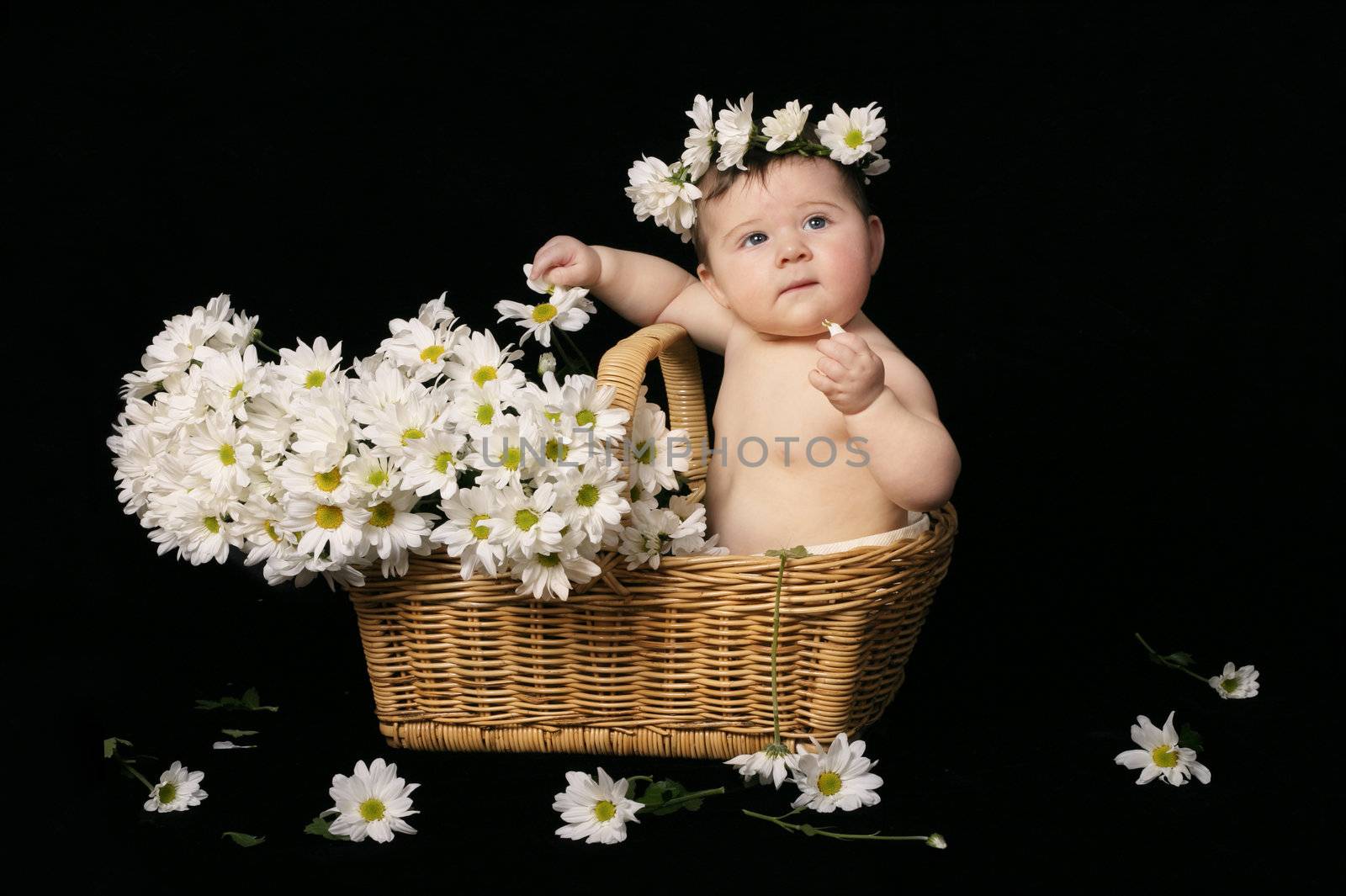 Baby and daisies by lovleah