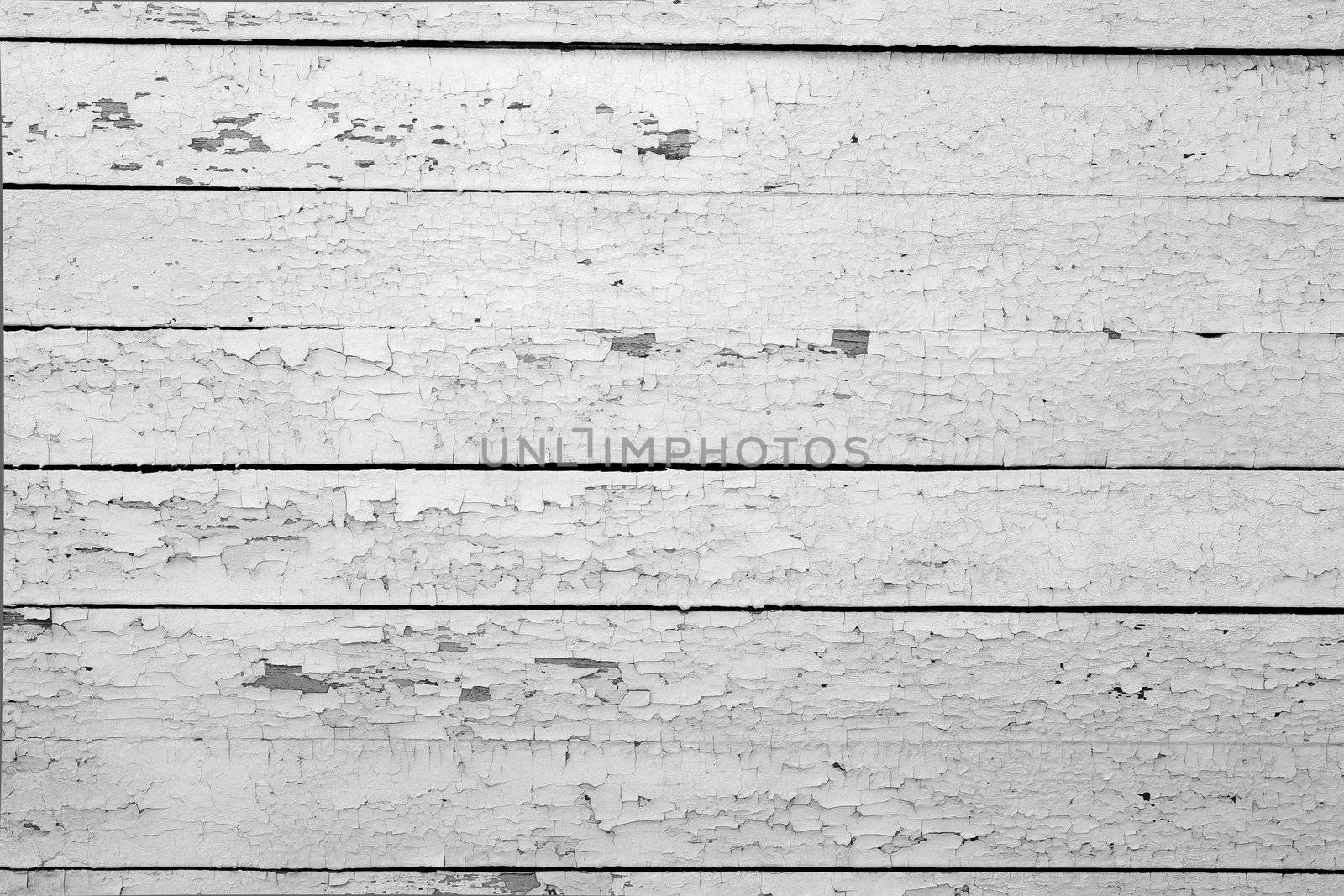the background of weathered white painted wood
