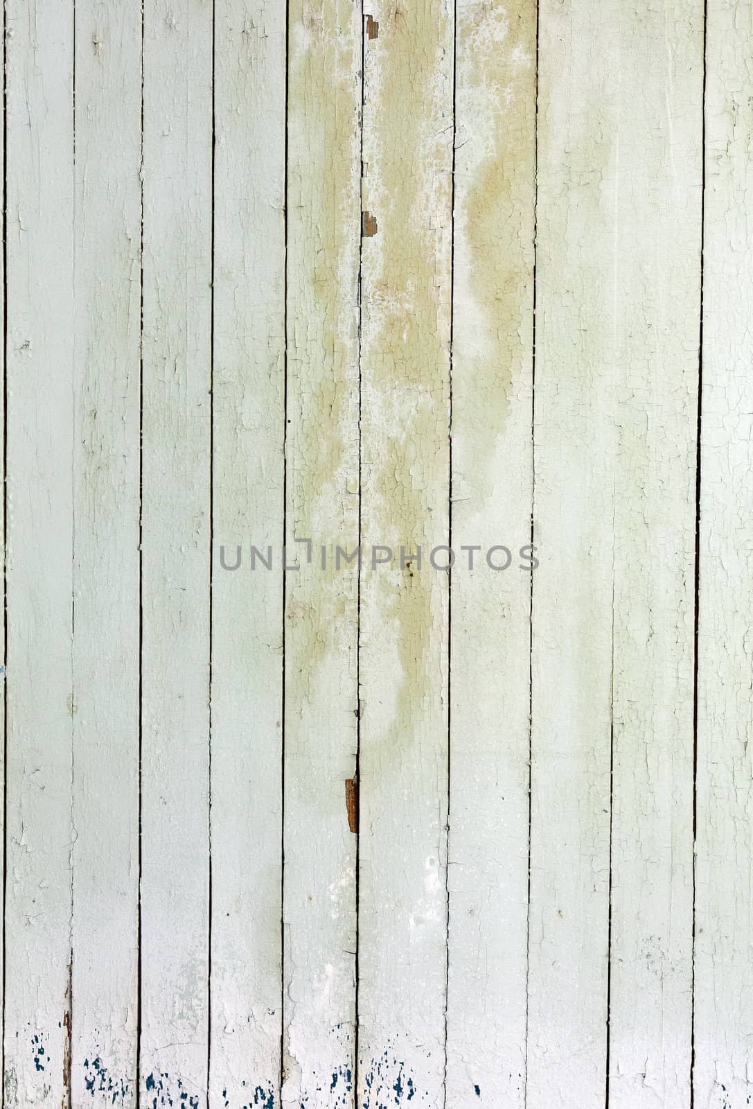 the background of weathered white painted wood