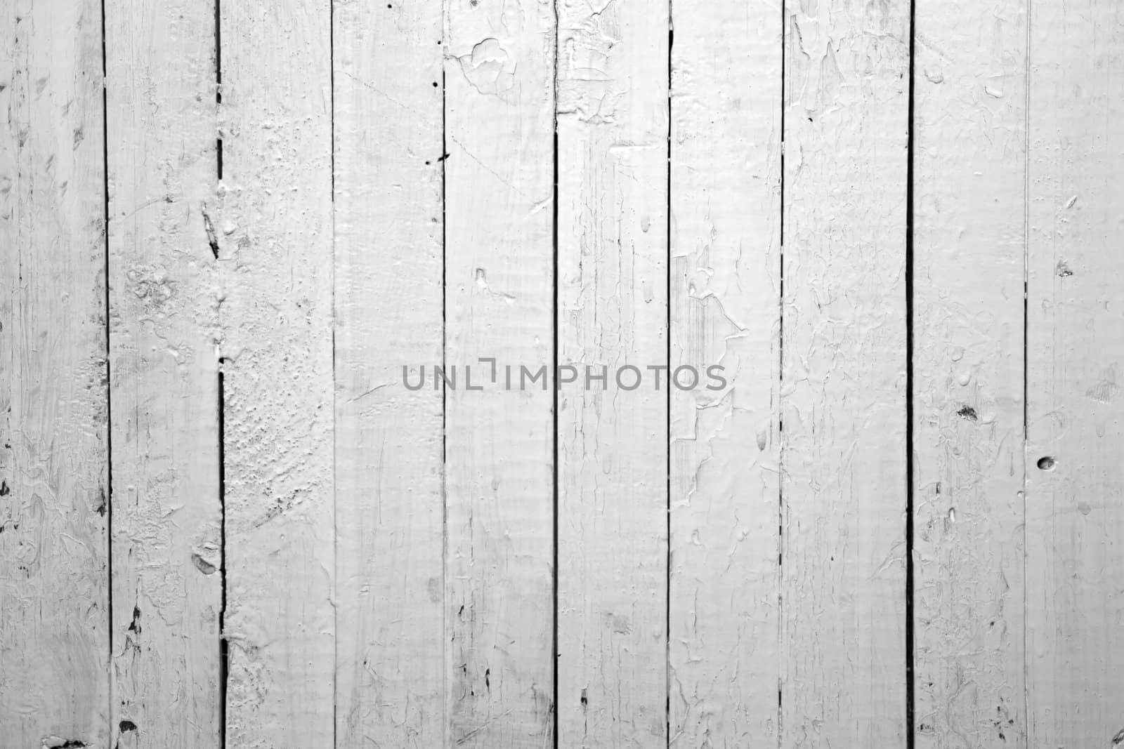 the background of weathered white painted wood