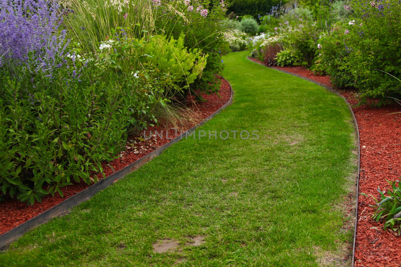 A green grass path in a garden