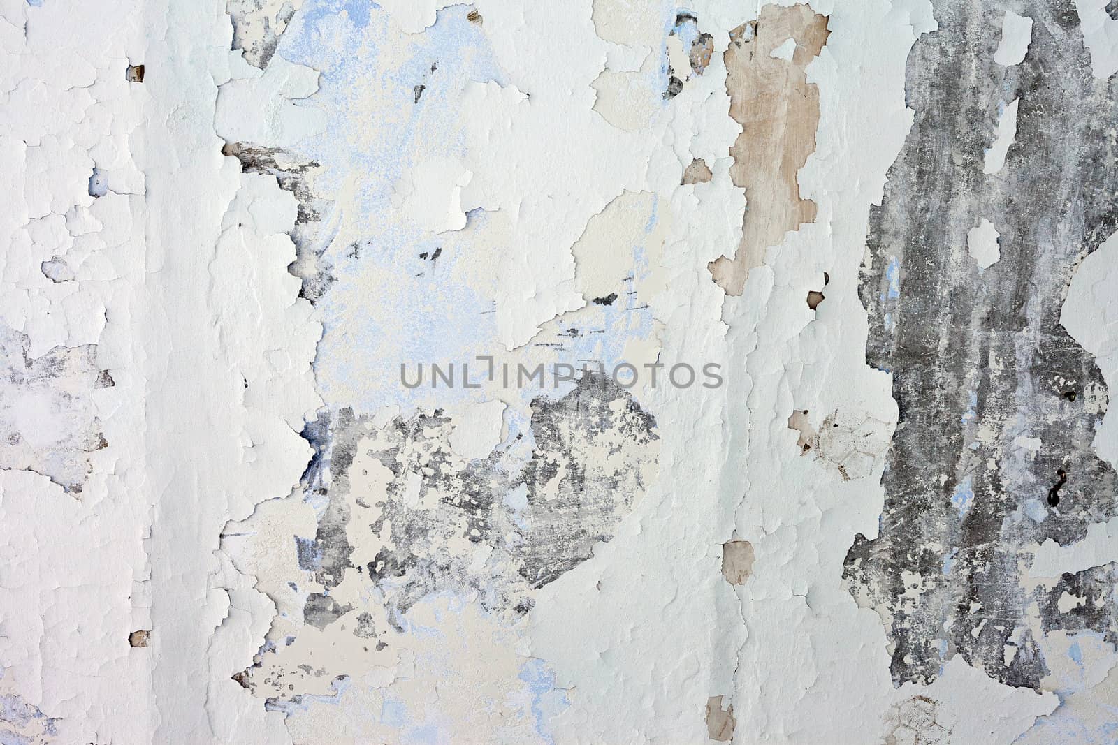 The Background from high detailed fragment stone wall