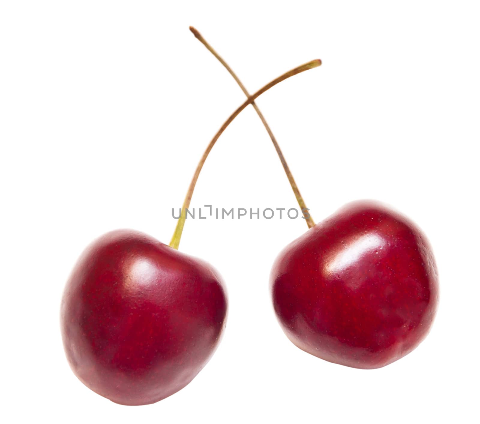 Two sweet ripe cherries are isolated on the white