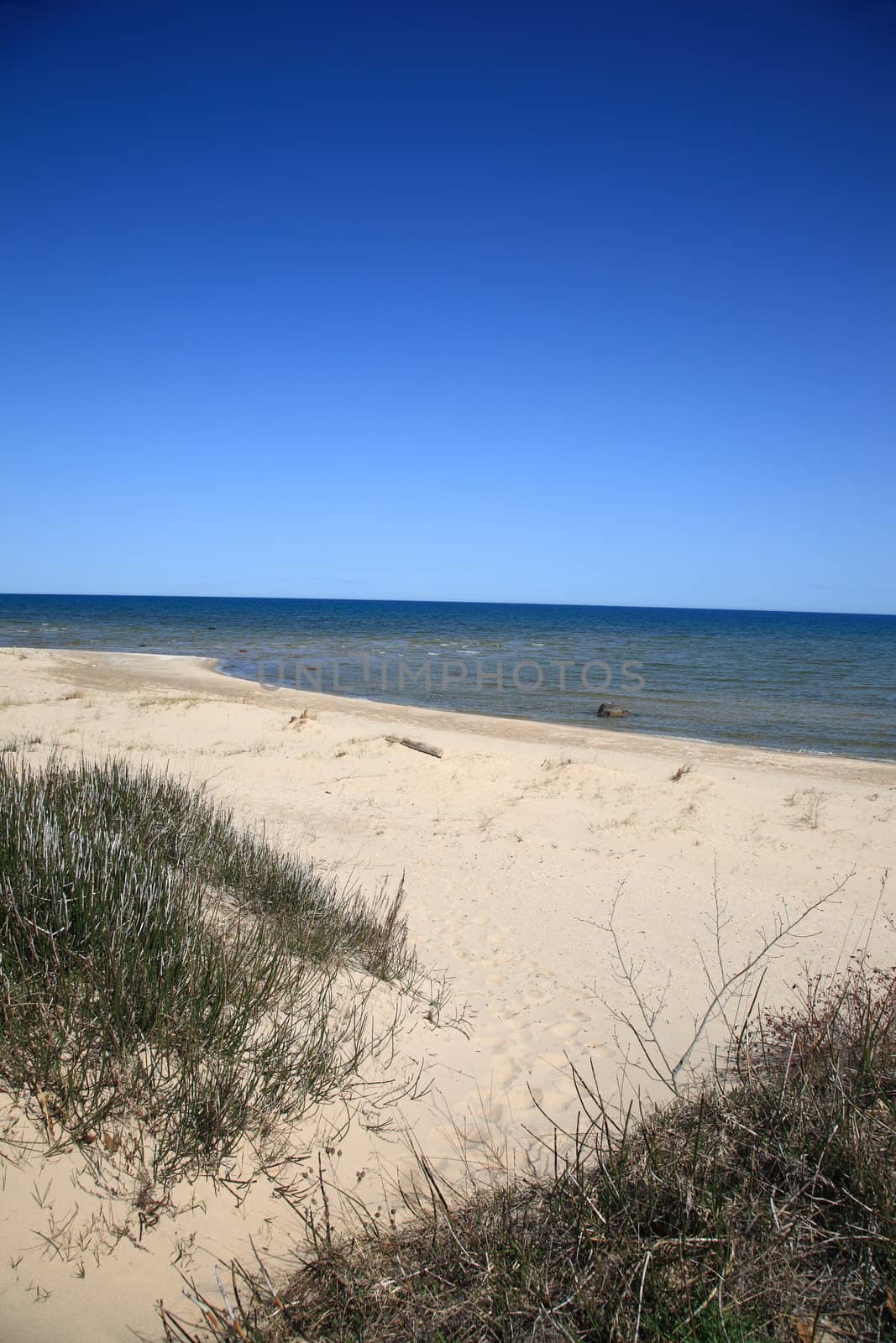 Seashore - Lake Huron by Ffooter