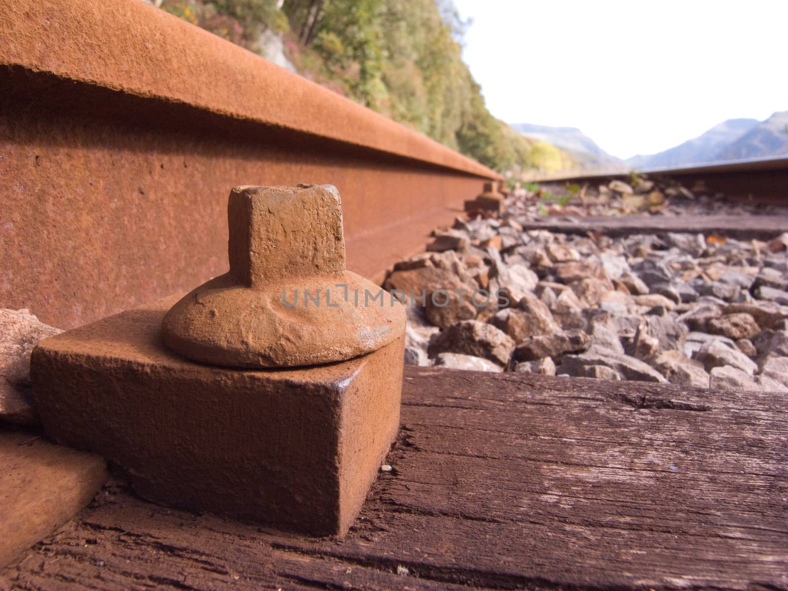 Close-up of bolt fixing the line and sleeper of a railway.