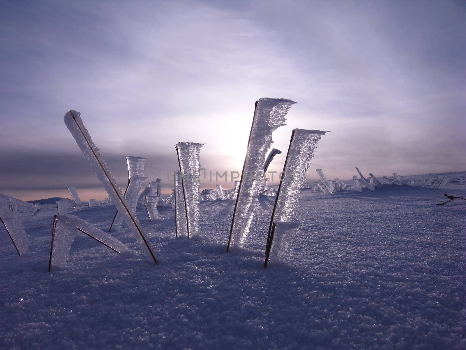 Ice Flags by richsouthwales