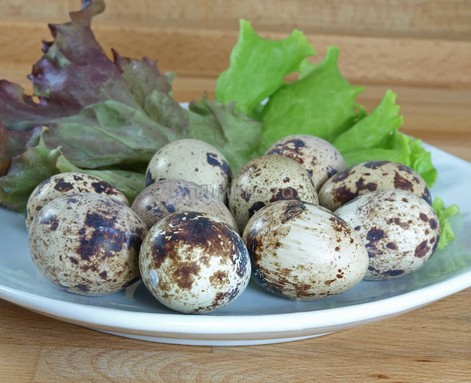 boilded quail eggs garnished with lettuce on plate