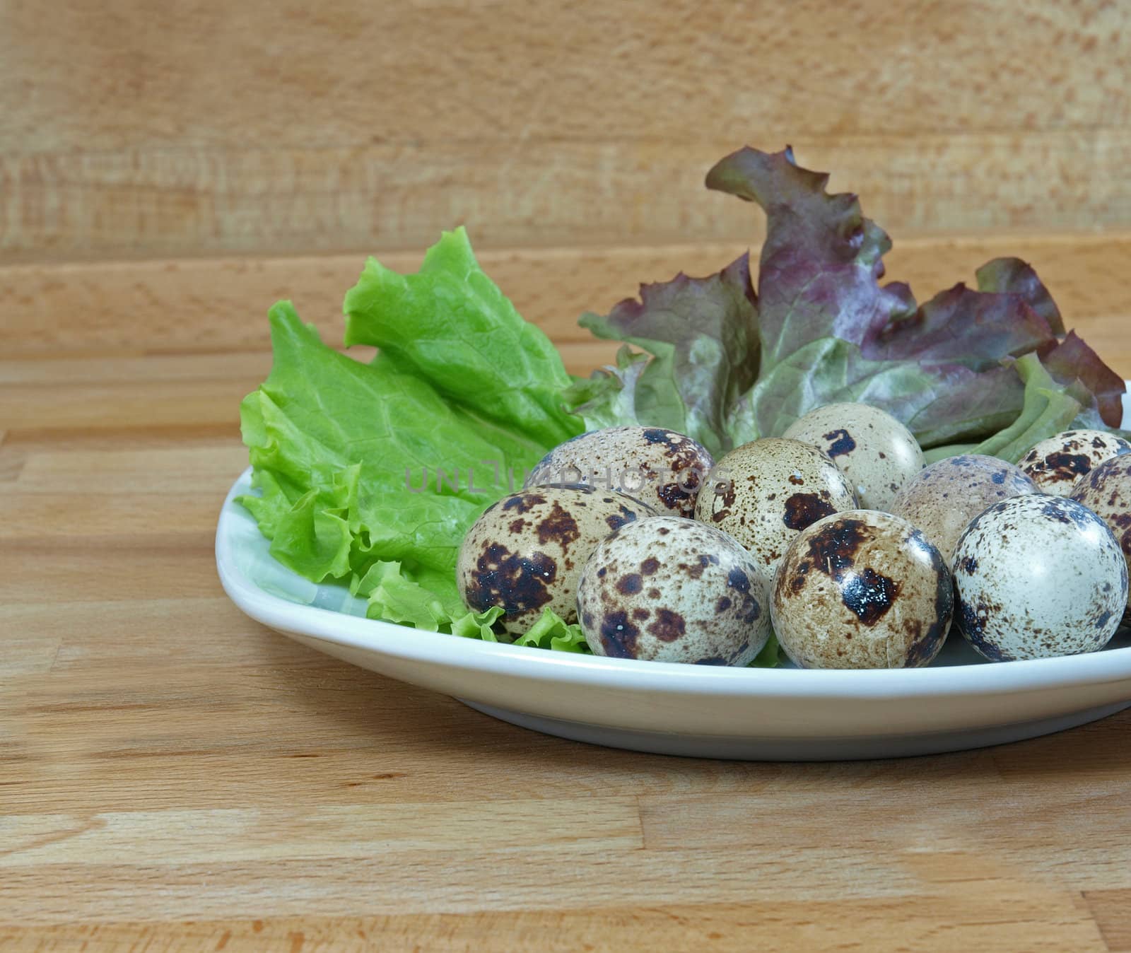 boiled quail eggs garnished with lettuce on plate by Ric510