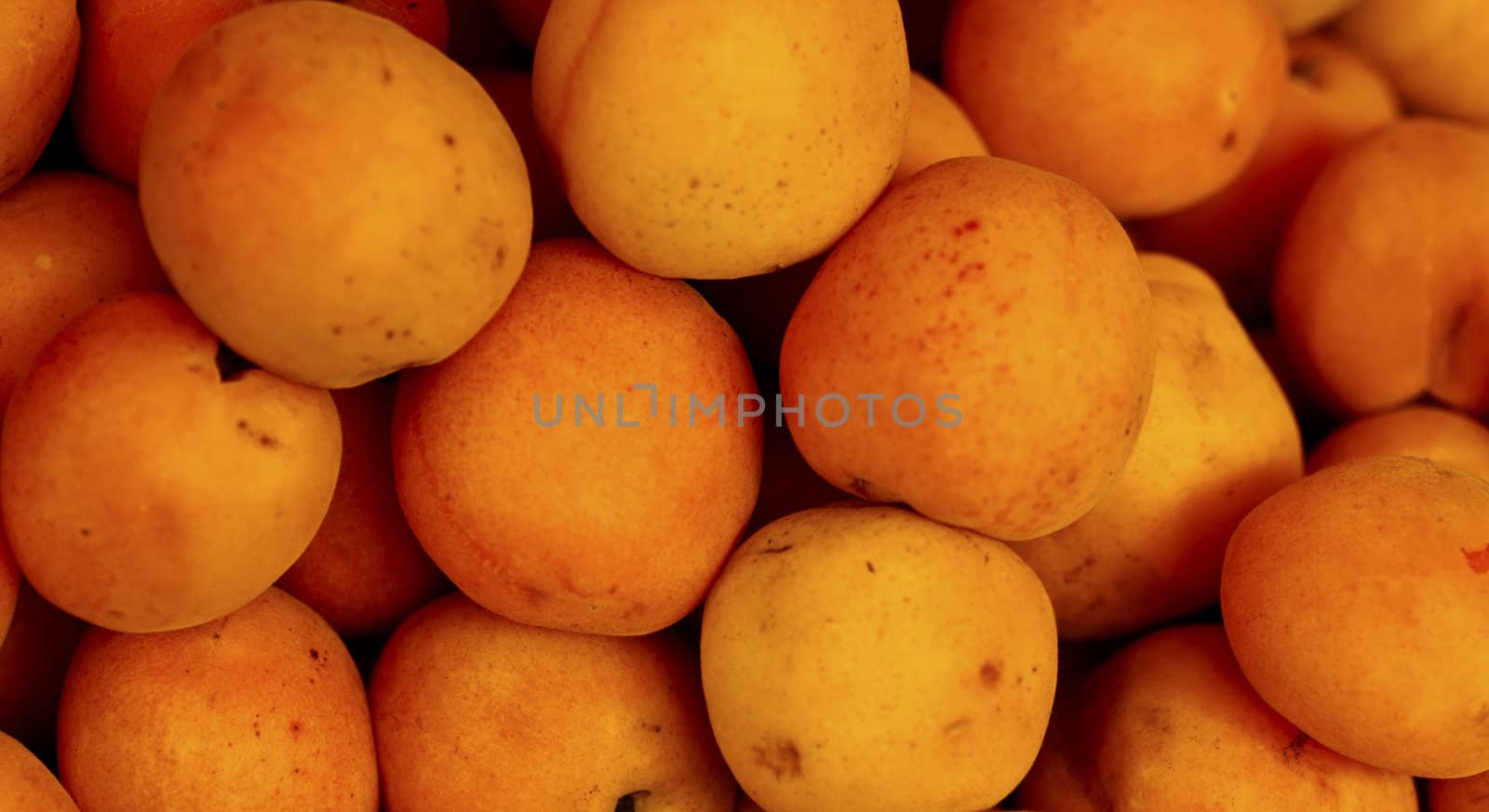 Yellow apricots by bah69