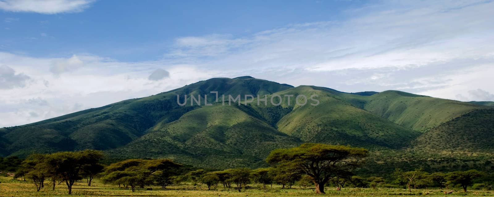 A green mountain rising over the african savanna