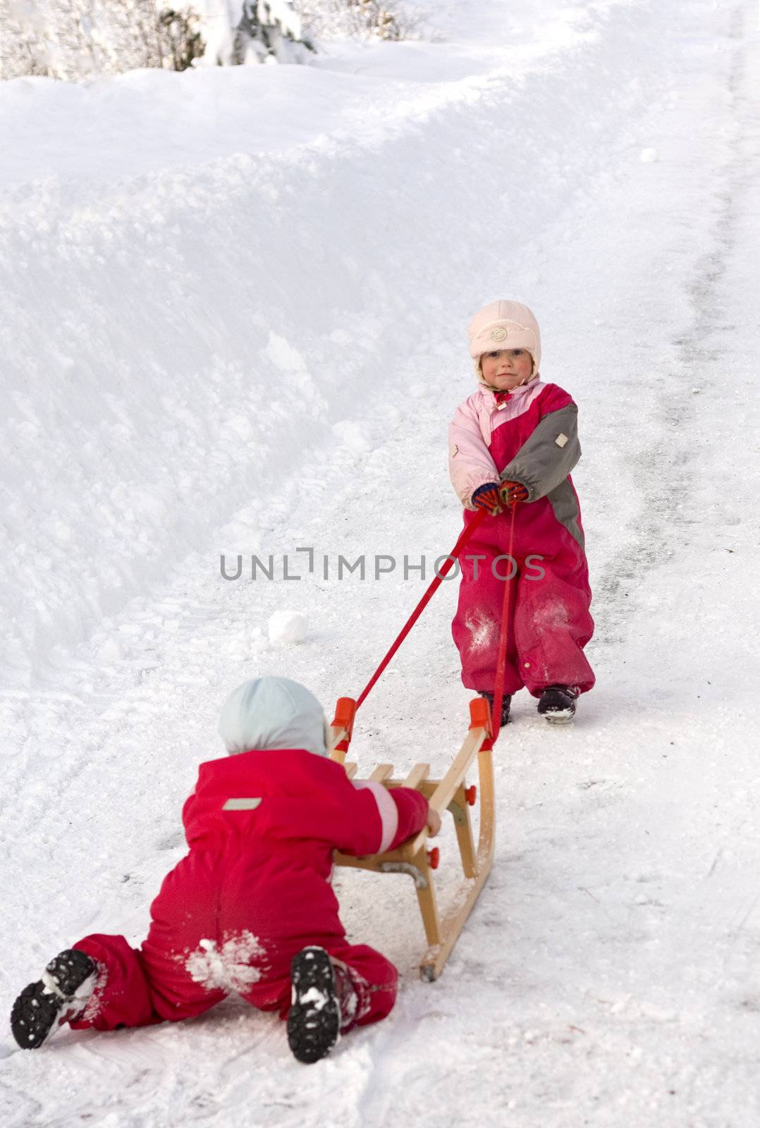 Children cooperating in getting a sleigh up a long hill. 