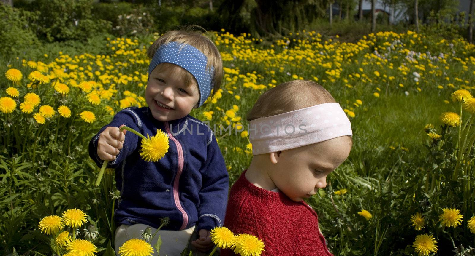 Children picking flowers by kavring