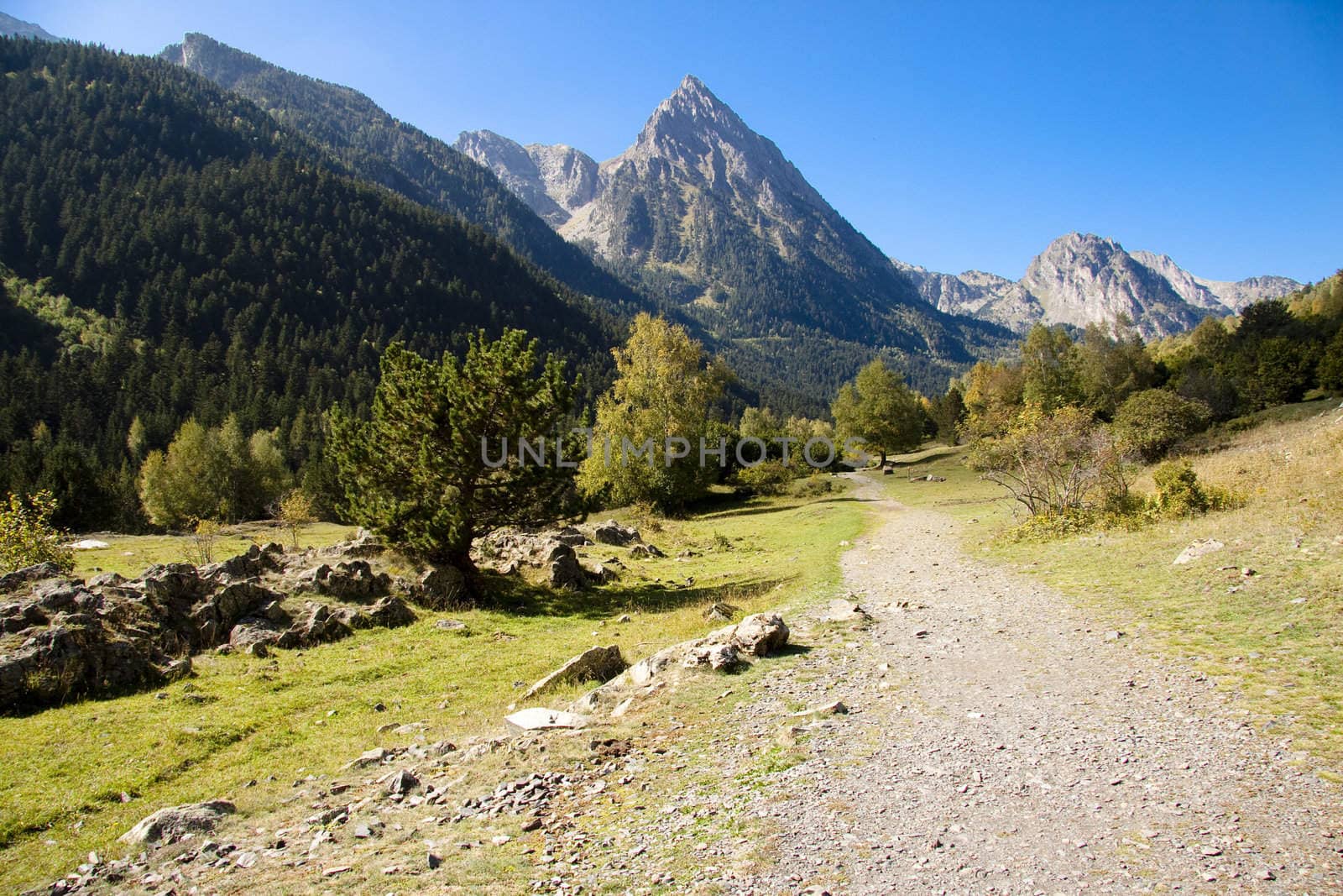 Path to Sant Maurici lake in Aiguestortes National Park - Pyrenees, Spain.
