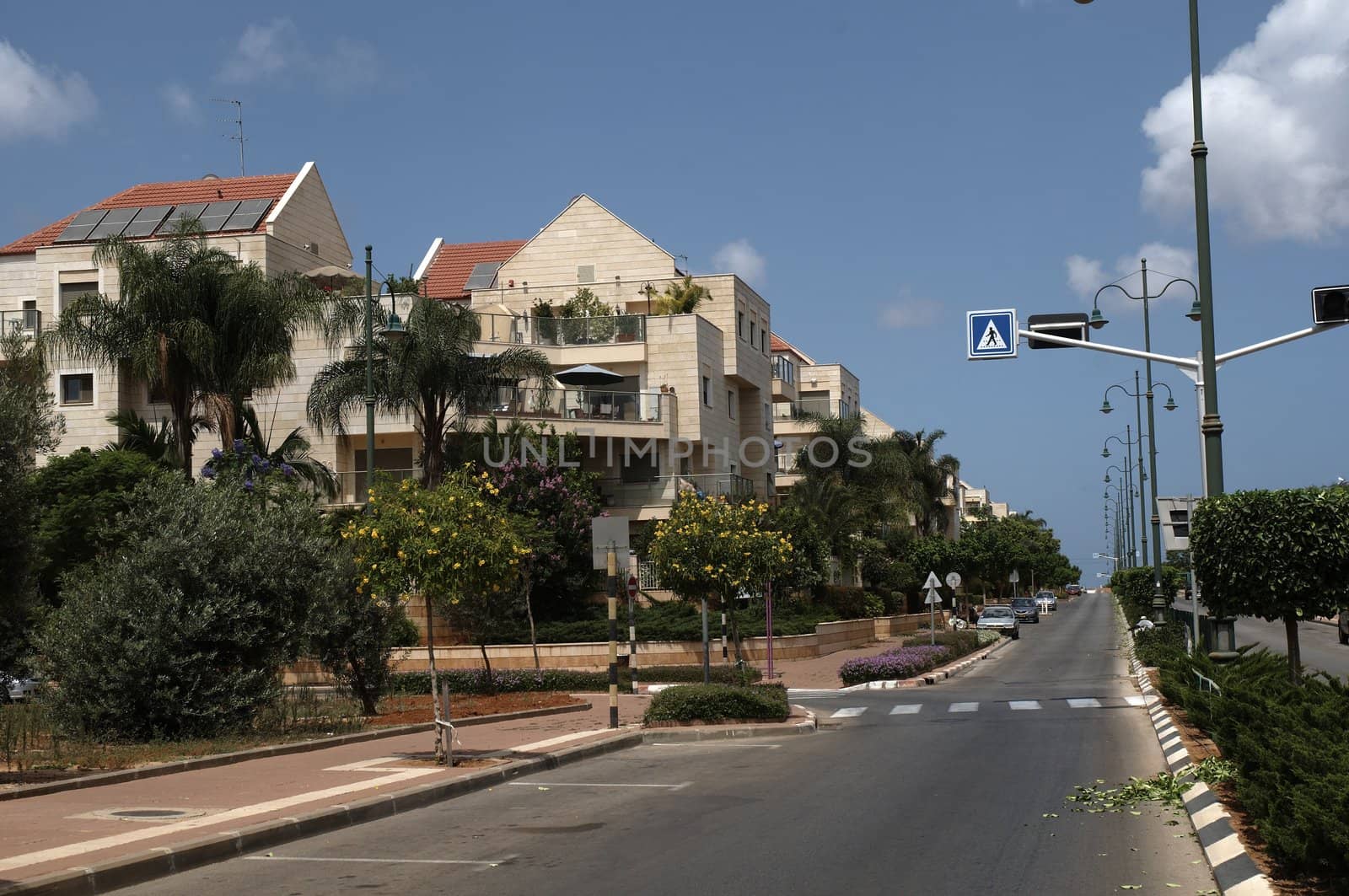 Modern homes in Israel.Modern apartment block and palm trees .