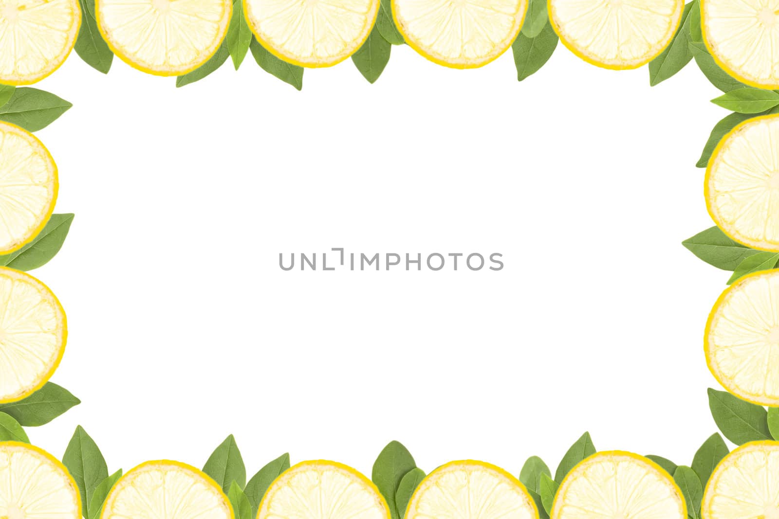 frame made from yellow lemons slice and green leaves on white background