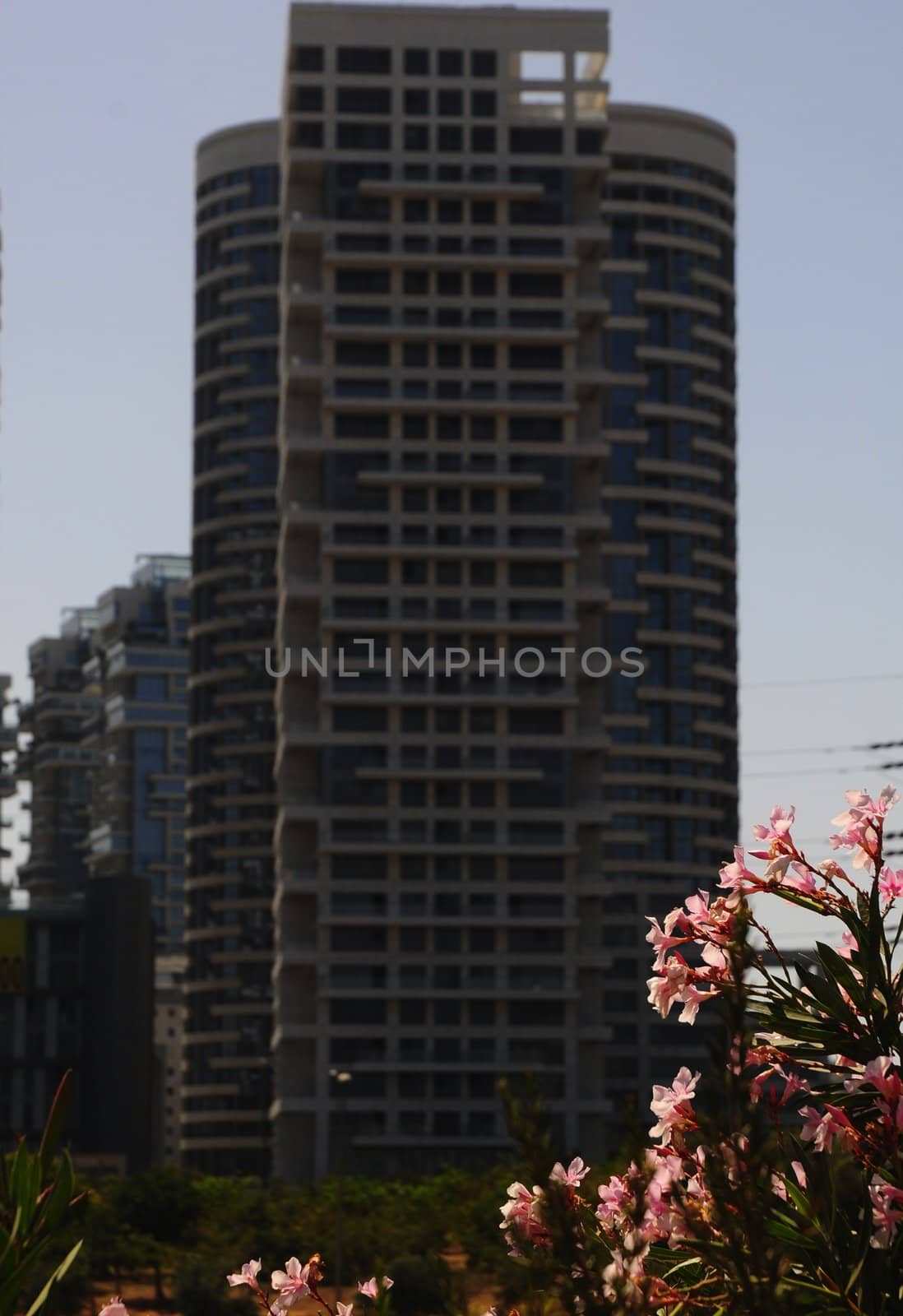 Roof of the buildings at Tel-Aviv .
