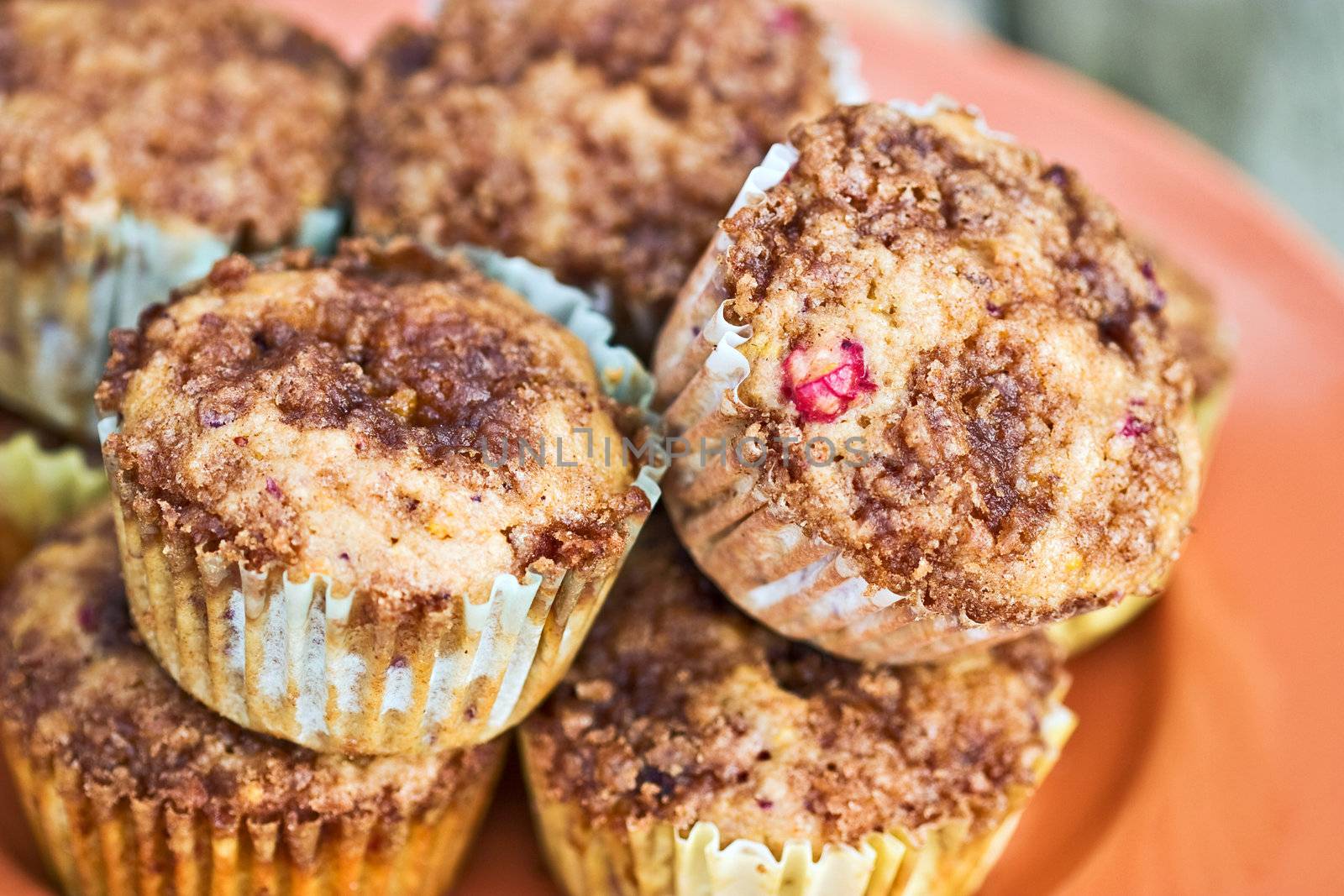 cranberry muffins  by StephanieFrey