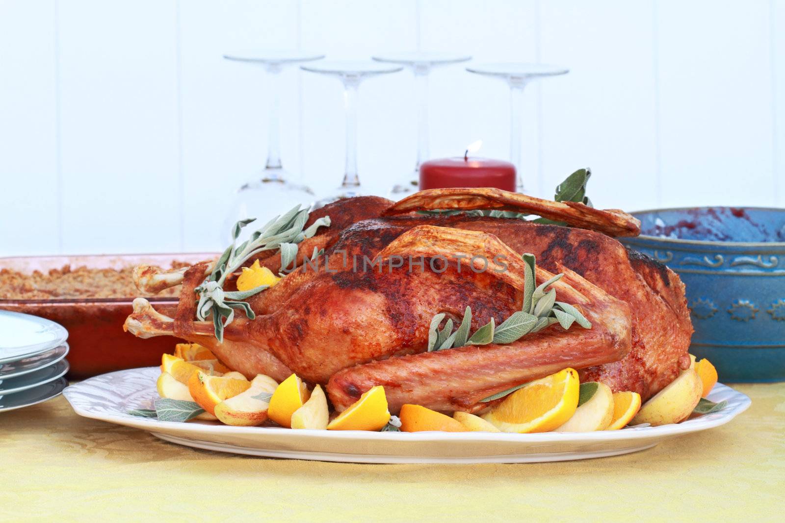 Baked Christmas goose with fresh oranges, apples and sage. Served with cranberry sauce and sweet potato souffle. Shallow DOF.