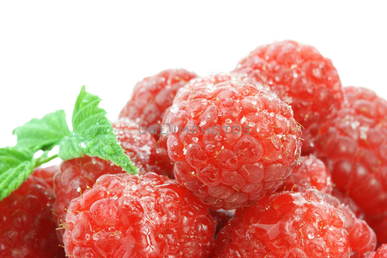 Fresh red raspberries sprinkled with sugar isolated against a white background.