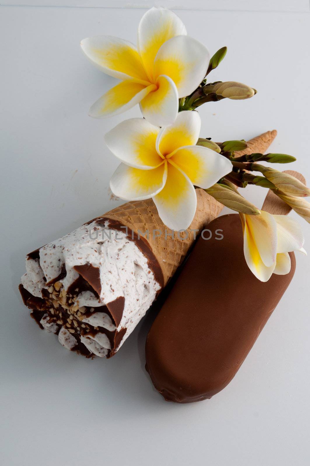 Delicious icecream and magnolia flowers on a white background .