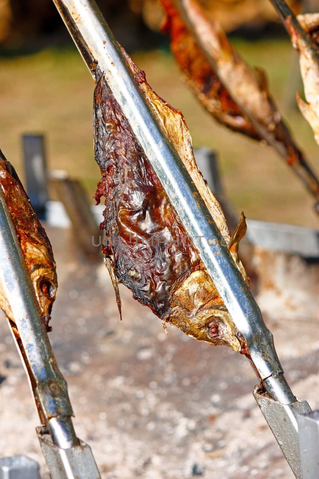 Roasting carp on a fire at a festival, carp on the jaw