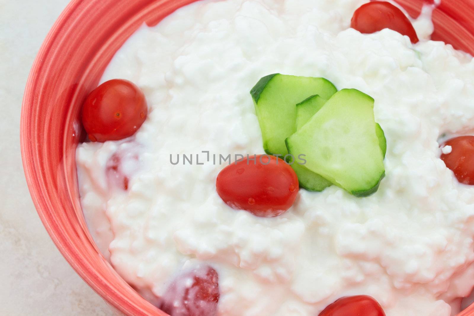 Fresh cottage cheese salad with tomatoes and cucumbers.
