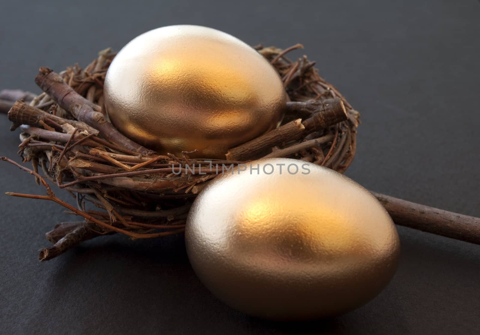 Pair of golden eggs and sturdy nest suggest great opportunity in business partnerships as well as the shared dreams of a couple investing for dreams or retirement;